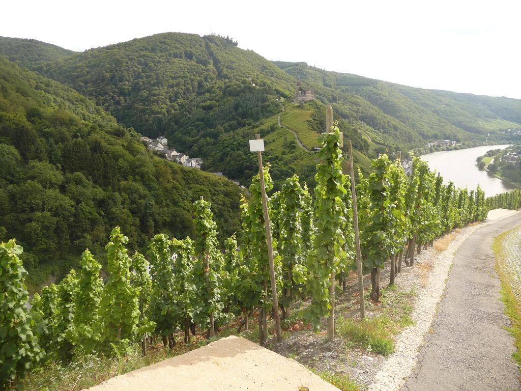 Gaestehaus Ehses Bernkastel-Kues Exteriör bild